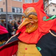 Narrenzunft Aulendorf Landschaftstreffen