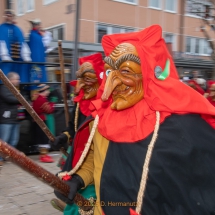 Narrenzunft Aulendorf Landschaftstreffen