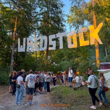 Waldstock-0025-DJ-Abend