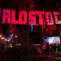 Waldstock - DJ Abend