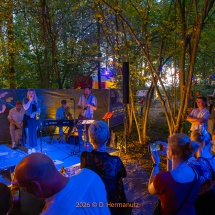 Waldstock-0350-Abend-der-Bands