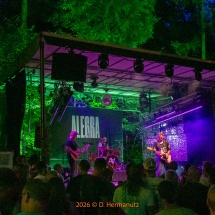 Waldstock-0433-Abend-der-Bands