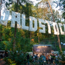 Waldstock - Band Abend