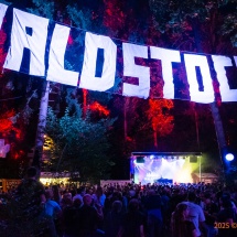 Waldstock-Festival-0087-DJ-Abend