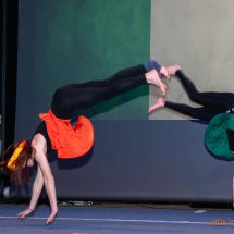 Zunftball-0127-Irland+Schottland