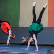 Zunftball-0128-Irland+Schottland